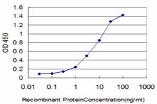 FGR Antibody in ELISA (ELISA)