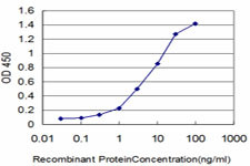 FGR Antibody in ELISA (ELISA)