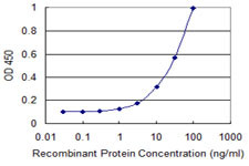 FH Antibody in ELISA (ELISA)