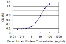 FKBP5 Antibody in ELISA (ELISA)