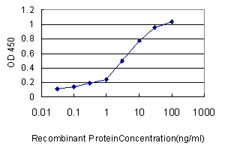 FKBP5 Antibody in ELISA (ELISA)