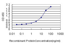 FOXC2 Antibody in ELISA (ELISA)