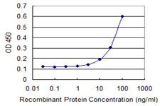 FOXC2 Antibody in ELISA (ELISA)