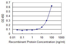 FOXC2 Antibody in ELISA (ELISA)