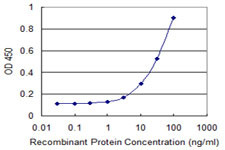 FOXC2 Antibody in ELISA (ELISA)