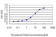 FOXO1A Antibody in ELISA (ELISA)