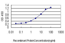 FOXO1A Antibody in ELISA (ELISA)