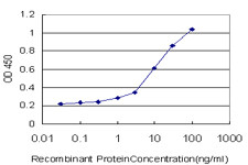 FOXO3A Antibody in ELISA (ELISA)