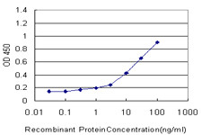 FOXO3A Antibody in ELISA (ELISA)