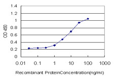 FOXO3A Antibody in ELISA (ELISA)