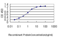 FLNA Antibody in ELISA (ELISA)