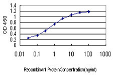 FLT4 Antibody in ELISA (ELISA)