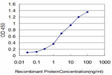 FLT4 Antibody in ELISA (ELISA)