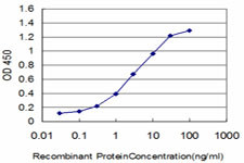 FLT4 Antibody in ELISA (ELISA)