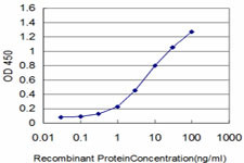 FLT4 Antibody in ELISA (ELISA)