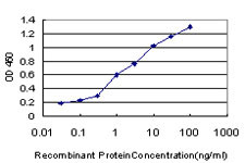 FLT4 Antibody in ELISA (ELISA)