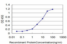 FLT4 Antibody in ELISA (ELISA)