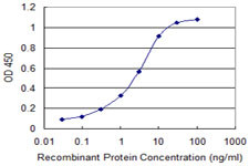 FXN Antibody in ELISA (ELISA)