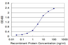 FXN Antibody in ELISA (ELISA)