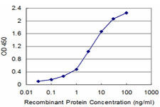 FXN Antibody in ELISA (ELISA)