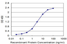 FXN Antibody in ELISA (ELISA)