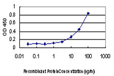 MTOR Antibody in ELISA (ELISA)