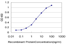 ADAM2 Antibody in ELISA (ELISA)