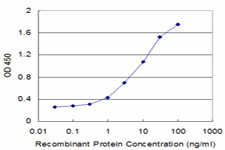 FUCA2 Antibody in ELISA (ELISA)