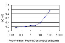 FUT7 Antibody in ELISA (ELISA)