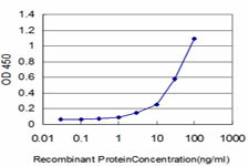 FYN Antibody in ELISA (ELISA)