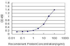 FZD2 Antibody in ELISA (ELISA)