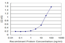 FZD2 Antibody in ELISA (ELISA)