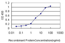 XRCC6 Antibody in ELISA (ELISA)