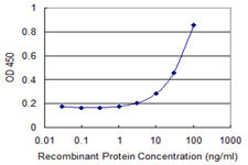 XRCC6 Antibody in ELISA (ELISA)