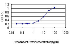 GABBR1 Antibody in ELISA (ELISA)