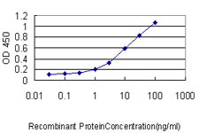 GABPA Antibody in ELISA (ELISA)