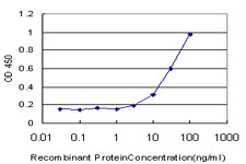 GABPA Antibody in ELISA (ELISA)