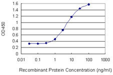 GALK1 Antibody in ELISA (ELISA)