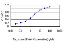 GATA2 Antibody in ELISA (ELISA)