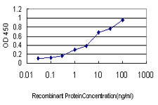 GCG Antibody in ELISA (ELISA)