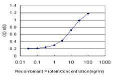 GDF2 Antibody in ELISA (ELISA)