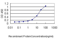 GFI1 Antibody in ELISA (ELISA)