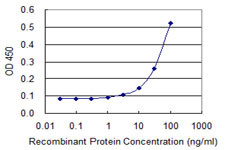 GK2 Antibody in ELISA (ELISA)