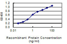 GLB1 Antibody in ELISA (ELISA)