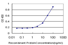 GLI3 Antibody in ELISA (ELISA)