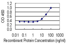 GLO1 Antibody in ELISA (ELISA)