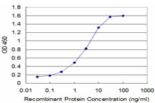 GLRA1 Antibody in ELISA (ELISA)