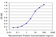 GLRA1 Antibody in ELISA (ELISA)