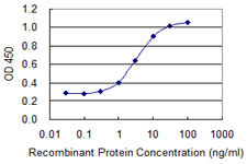 GLRA1 Antibody in ELISA (ELISA)