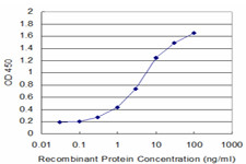 GLRA1 Antibody in ELISA (ELISA)